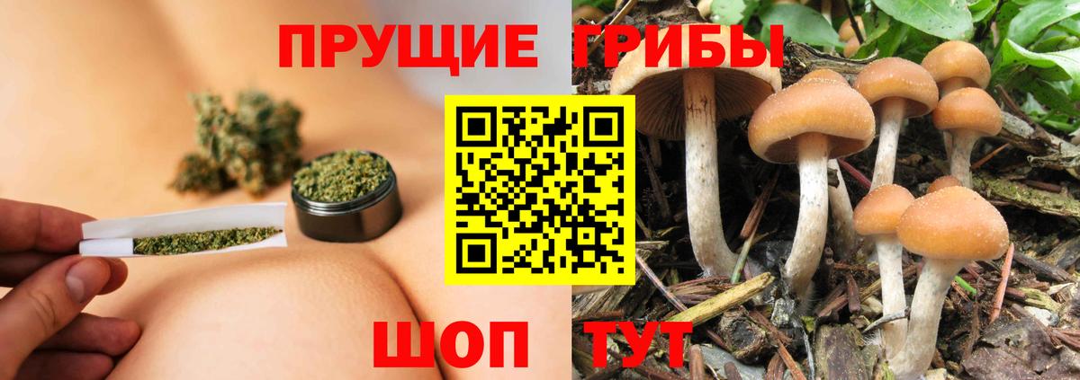 Ирбит  Галлюциногенные грибы мицелий  где купить   Вход с VPN 